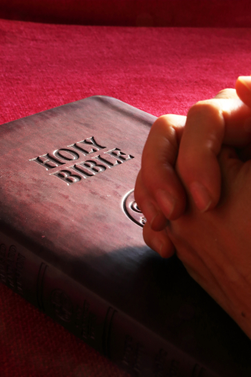 Bible and folded hands